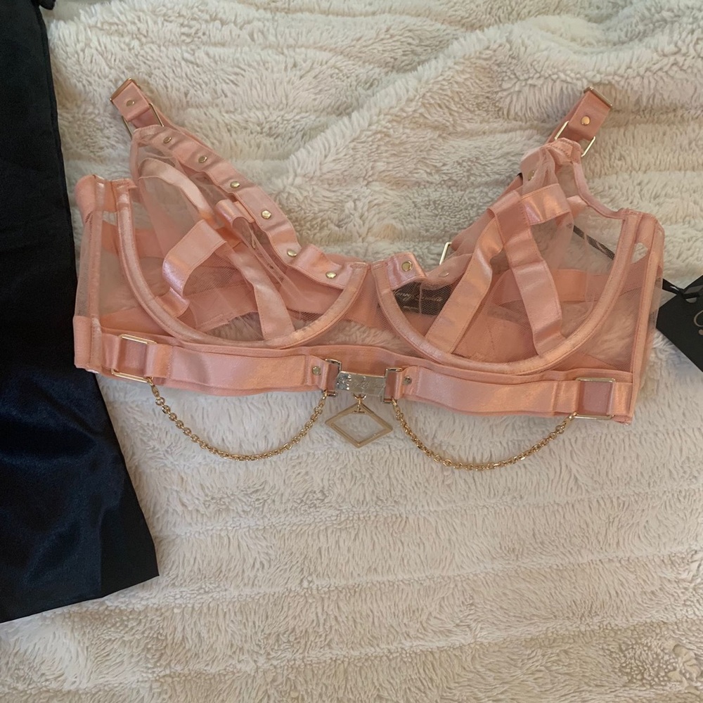 Honey Bridette Pink bra.